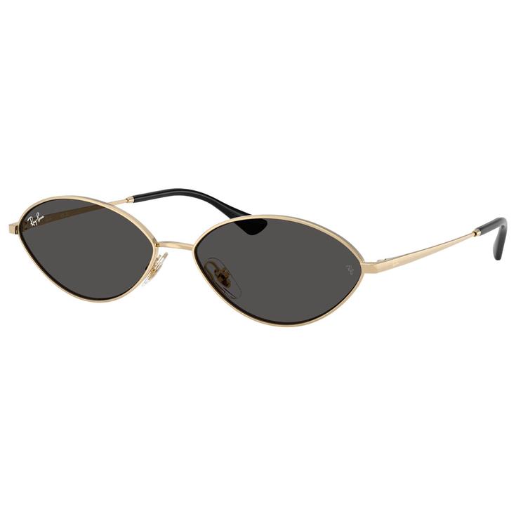 Ray Ban Lunettes de soleil RB3757 Kai Polished Gold Dark Grey Présentation