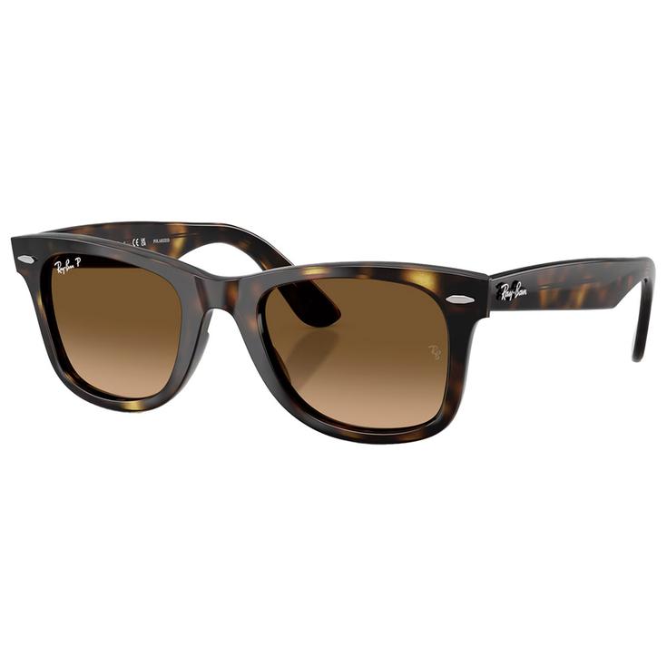 Ray Ban Sonnenbrille RB4340 Wayfarer Ease Polished Havana Gradient Brown Polar Präsentation