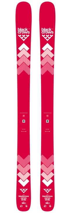 Black Crows Ski set Camox Birdie DA*** + Strive 11 TCX Overview