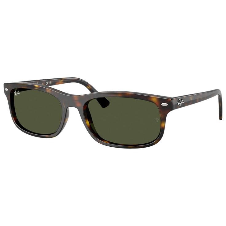Ray Ban Lunettes de soleil RB2224 Polished Havana Green Présentation