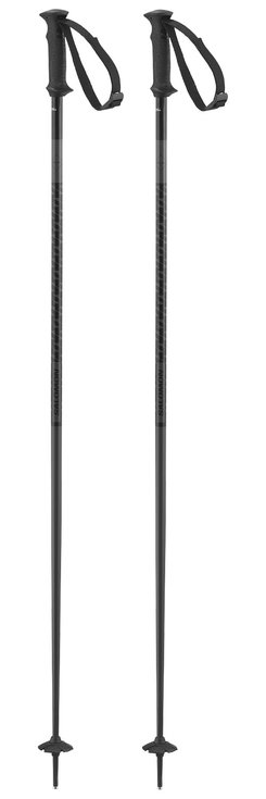 Salomon Bastones Polar Access Black Presentación