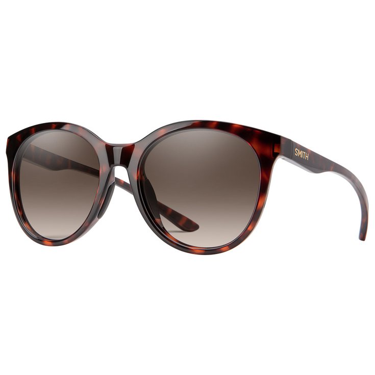 Smith Sunglasses Bayside Dark Havana - Brown Shaded Overview