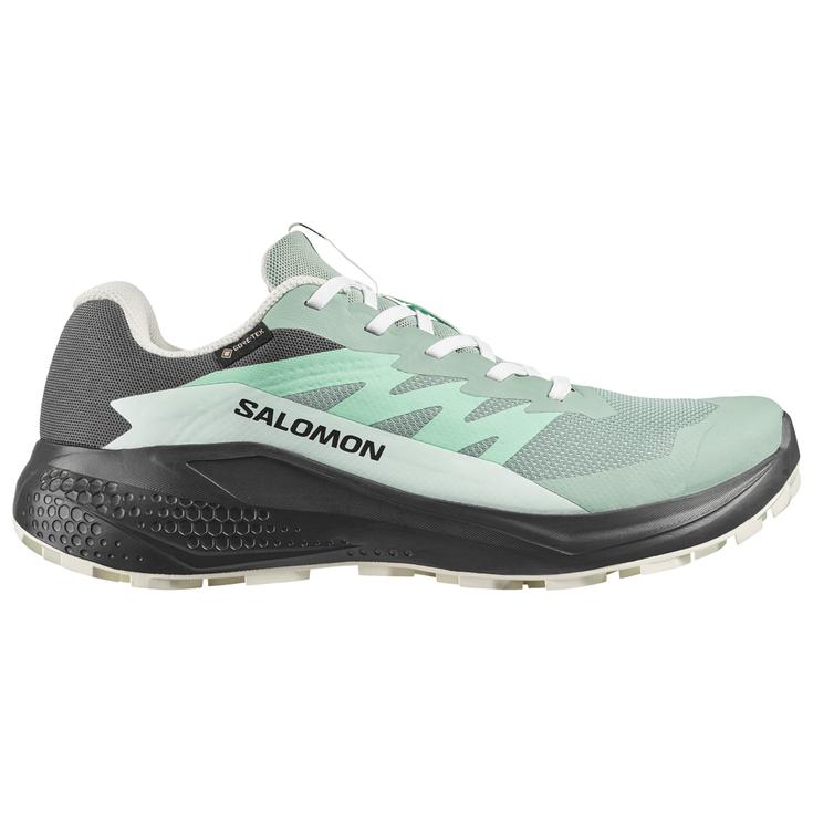 Salomon Scarpe da trail Alphaglide Gore-Tex W Asphalt Green Clearly Presentazione